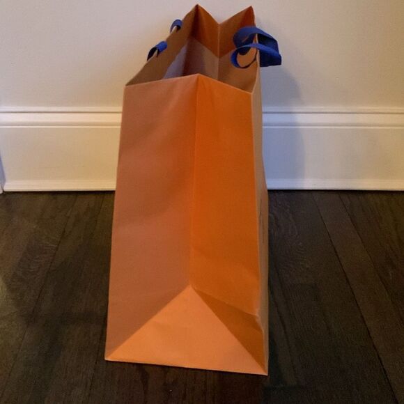 Louis Vuitton Large 19x16x9 Empty Limited Edition Portrait XL Shopping Gift Bag - Picture 6 of 10